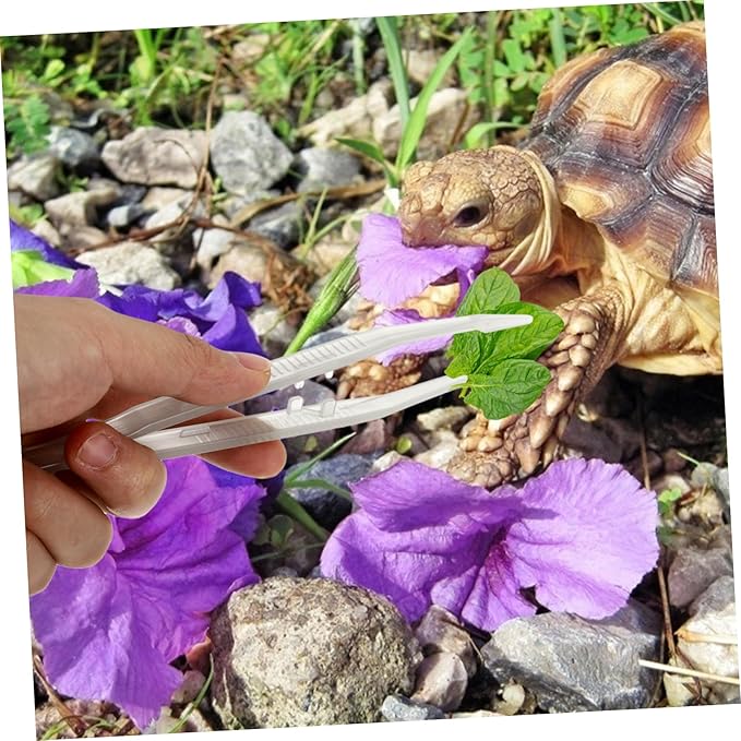 LIOOBO 2pcs Reptile Feeding Tongs Night Glow Tweezers for Lizards Snakes and Frogs Durable Easy Grip Food Clamps Long Feeding Tool for Pet Care