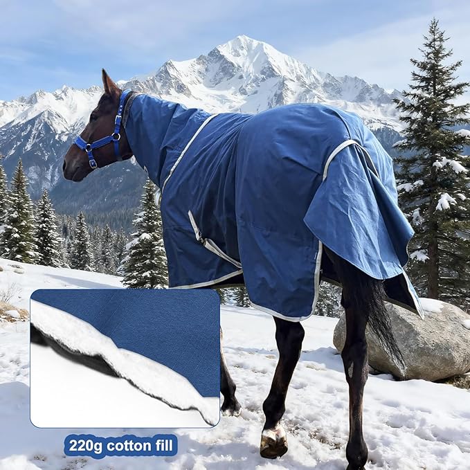 1600D Winter Horse Turnout Blanket Medium Weight Horse Blankets with Neck Cover Leg Straps (220g Fill) (80 in)