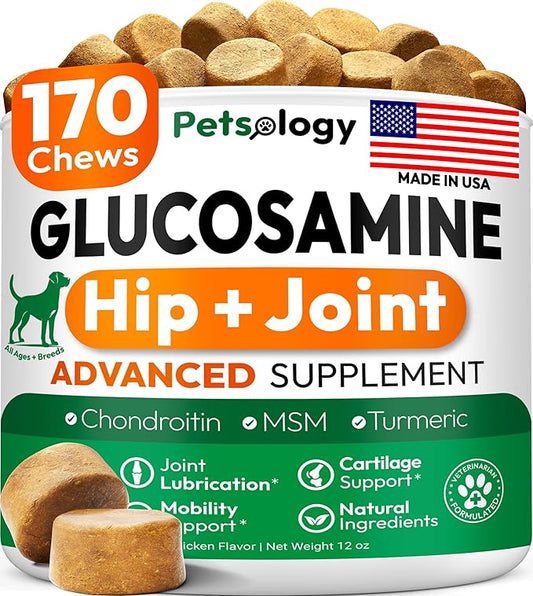 Glucosamine for Dogs - Hip and Joint Supplement for Dogs - 170 Mobility Chews - Glucosamine Chondroitin - MSM - Turmeric - Joint Pain Relief - Advanced Support for Dog Health - Made in USA