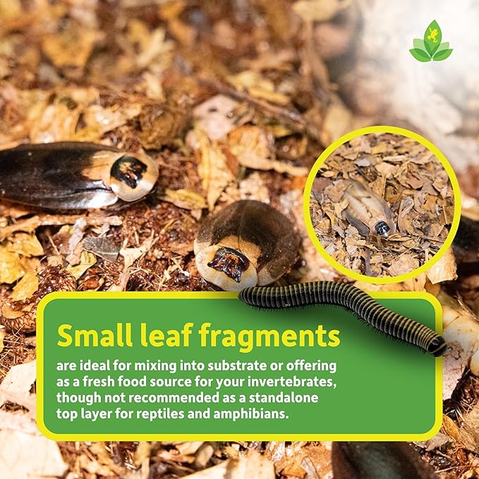 Josh's Frogs Compressed Natural Tropical Leaf Litter Brick, 500g, All-Natural Leaf Fragments for Isopods, Millipedes, Crabs, Detritivores