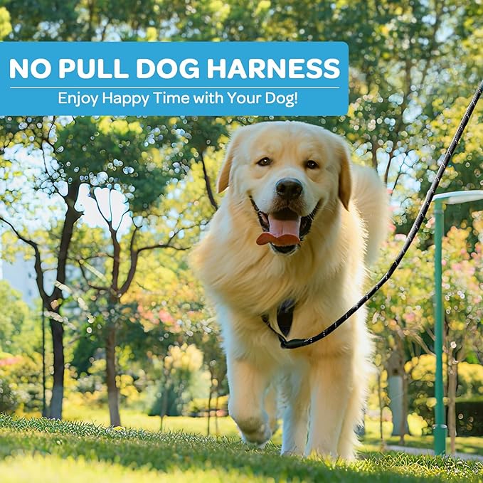 FURRYFECTION Plaid Dog Harness for Medium Dogs, Reflective No Pull Adjustable Pet Vest with Front Clip, Leash, Easy Control Handle and Seat Belt, Blue&White, M