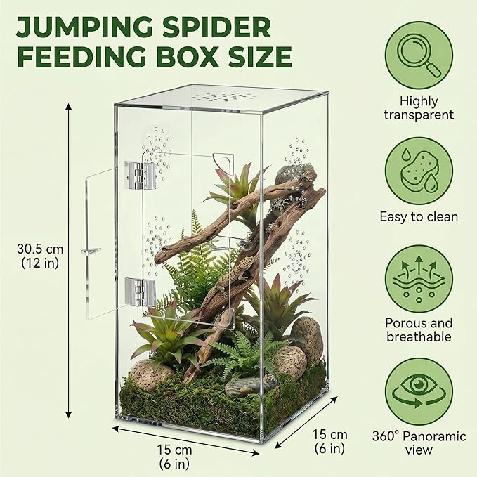 Large Jumping Spider Enclosure, 12x6x6 Inch Acrylic Spider Terrarium, Pre-Assembled Reptile Enclosure with Front Opening Door, Habitat Accessories for Mantis, Tarantula, Snail, Invertebrates
