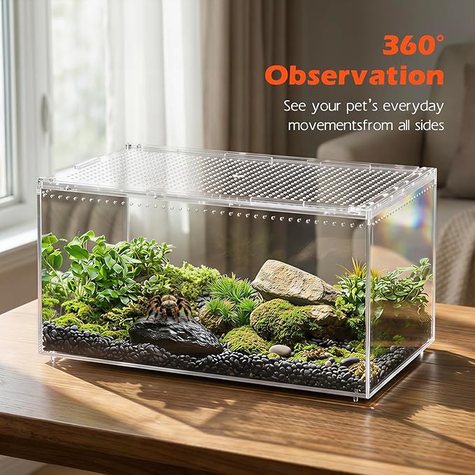 AZV Escape Proof Reptile Terrarium,Shatter Proof Polycarbonate Tarantula Tank with Magnetic Lid,Ventilated Spider Enclosure,360° Clear View,Easy Clean Habitat for Gecko,Frogs,Insects,Hermit Crabs XL