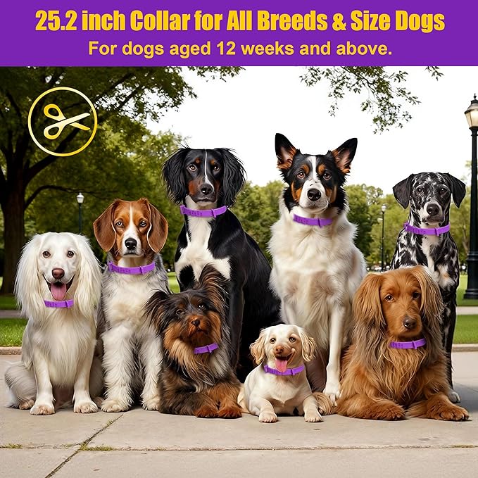 4 Pack Flea Collar for Dogs, 25 inch Adjustable Flea & Tick Prevention Collars with Comb for Small Medium and Large Dog, Waterproof Flea Control Collar Safe for All Breeds, Purple