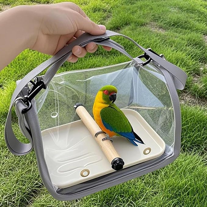 Bird Carrier Backpack Bird Bag Panoramic View Breathable Foldable with Perch Removable Tray for Peony Little Sun Tiger Skin Monk (White)