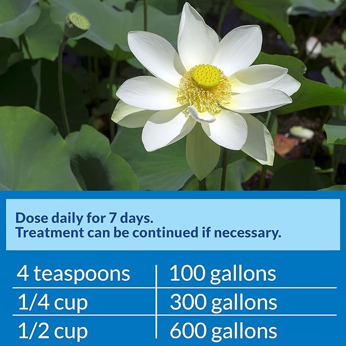 PondCare® PimaFix Antifungal Remedy for Koi & Goldfish (16 oz.)
