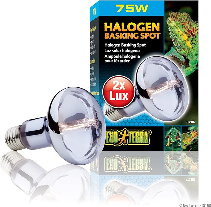 Exo Terra Sun Glo Halogen Basking Spot Lamp – 75W Reptile Light Bulb, Broad Spectrum Daylight, Enhances Coloration, Promotes Health, PT2182