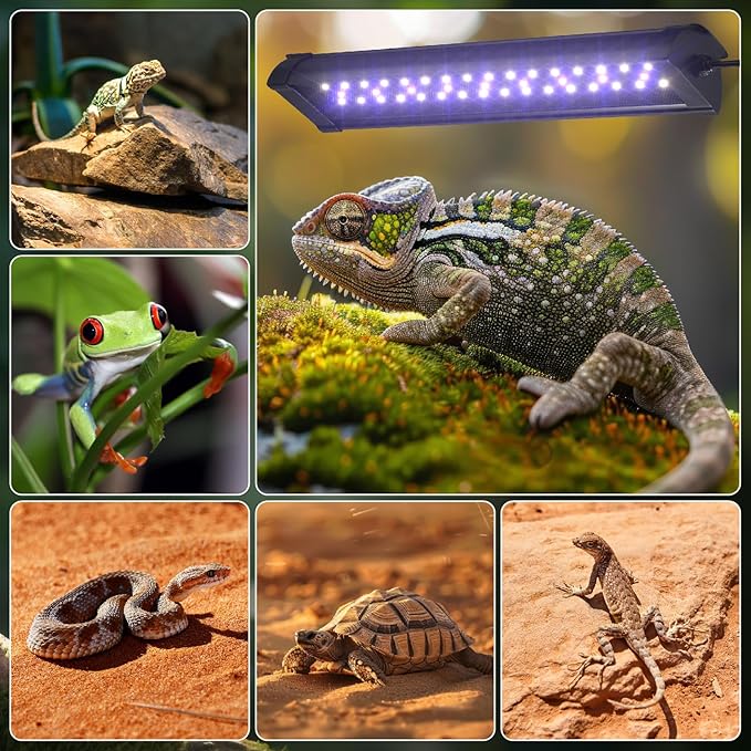 GlowUp 12 Inch 10W Dimming LED UVB Light for Reptiles, UVB 20.0/10.0/5.0/Purple Light, 3 Light Modes, Timer, UVA UVB Reptile Lamp for Tropical & Desert Reptile, Bearded Dragons, Turtles, Snakes