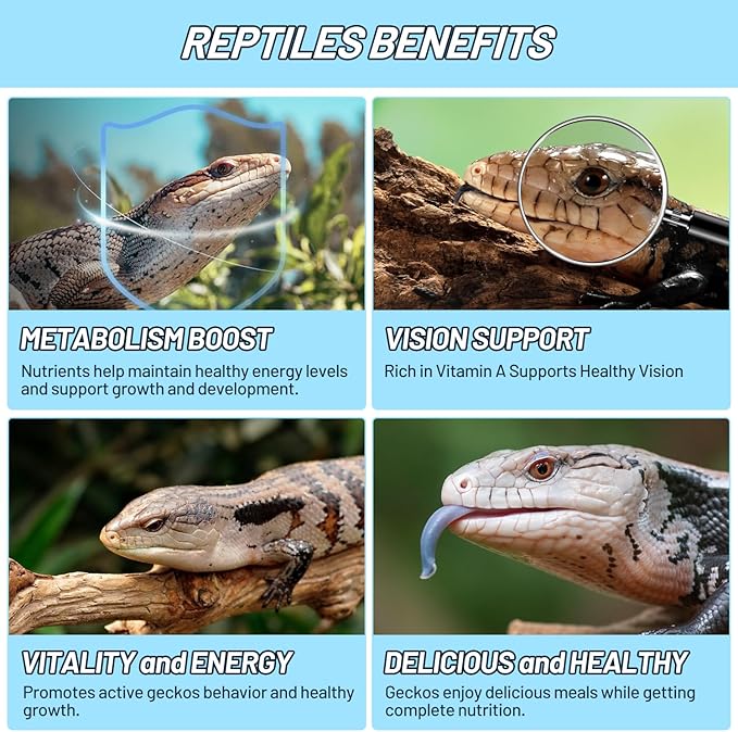 Crested Gecko Food Insect Puree, Dubia Paste Reptile Food Made with Fresh Insects Gecko Food Complete Diet 2.82oz