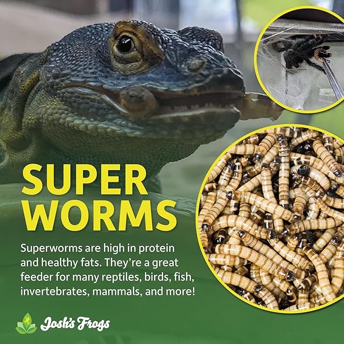 Josh's Frogs Superworms (300 Count)