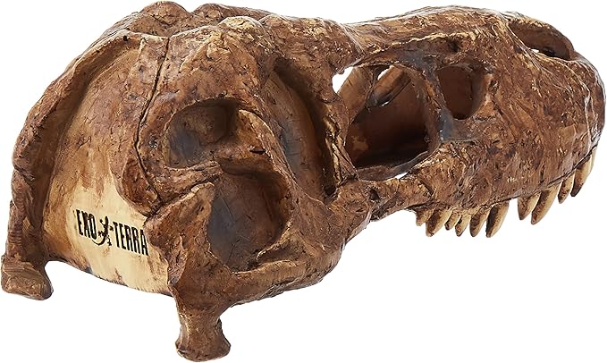 Exo Terra T-Rex Skull Terrarium Decor