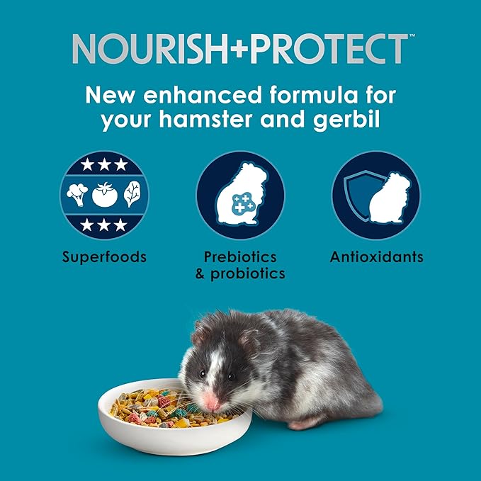 Kaytee Forti-Diet Pro Health Nourish+Protect Hamster and Gerbil Food, Comprehensive Nutrition Backed by Science, Digestive Health, Immune Support, 8 Pounds