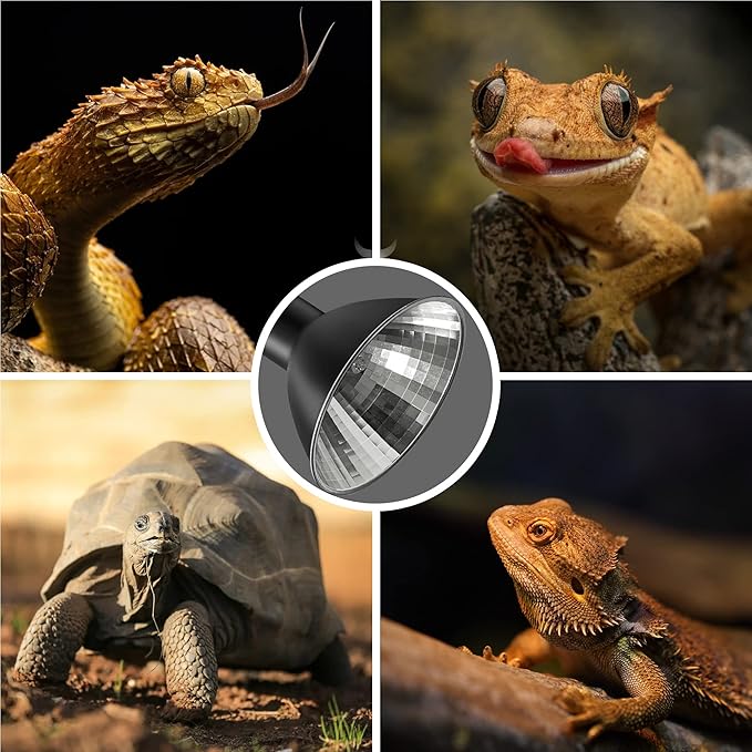 Briignite Reptile Heat Lamp Red, 50W G9 Heat Bulb & Dome Reptile Light Fixture, Aluminum Reflector, Dimmable Heat Lamp for Chicken, Turtle, Snake, Gecko, Lizard, 2 Pack