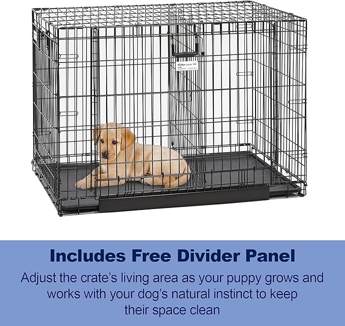 MidWest Homes for Pets Intermediate Ovation Double Door 36-inch Folding Metal Dog Crate, Front and Up & Away Side Doors, Space-Saving Design