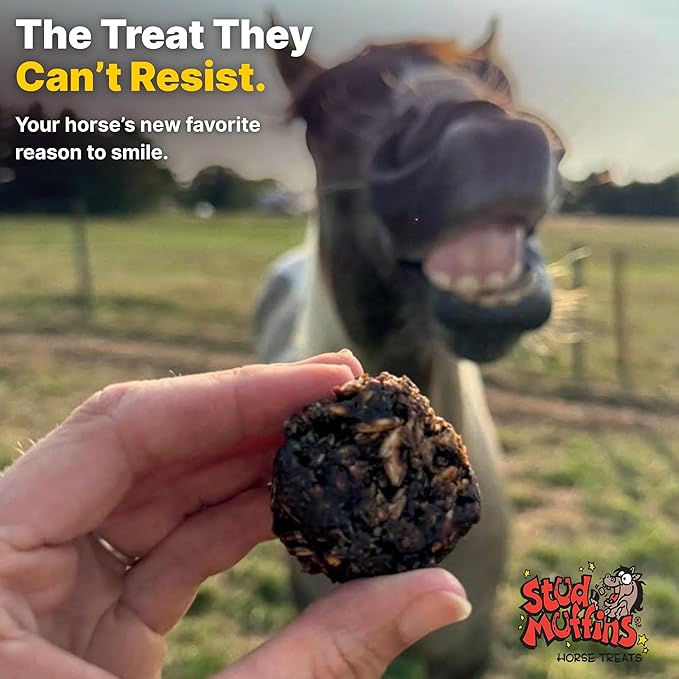 Stud Muffins 5.8lb Horse Treats Bag/Stud Muffins are Great Training Treats and Horse Pill Pockets/Our Treats for Horses are All Natural Horse Treats/Durable 5.8lb Horse Treats Bulk Pack