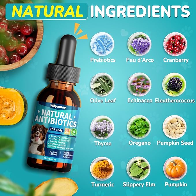 Woyamay Antibiotics for Dogs | Natural Dog Antibiotics for Allergy Relief, Itch Relief, Coughs, Skin Health, Breath Treatment, Digestion | Herbal Supplement to Care for Ears, Eyes & Coat, 4 Fl Oz