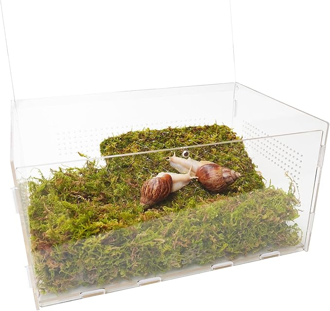 Snail Terrarium Kit with Climbing Accessories11.22 L x 7.87" W x 6" H Clear Small Animal House for Snails, Caterpillars& Small Critters – Includes 7" Climbing Wall and Substrate