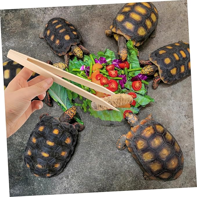 Sosoport 2pcs Reptile Food Tweezers Feeding Clips for Lizards Snakes Turtles and Crawling Pet Food Supply Feeding Tool
