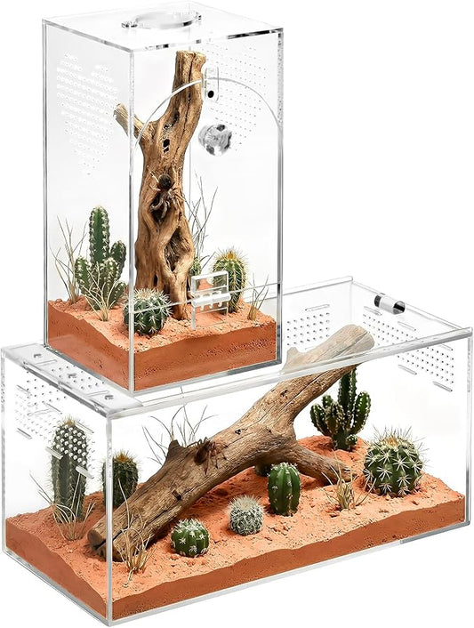 Acrylic Spider Enclosure 2 Pack, No Assembly Mixed Size Terrarium for Jumping Spider & Tarantula (L)