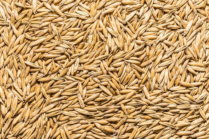 Thunder Acres Non GMO, Certified Organic, Oat Seed (5 lb.)