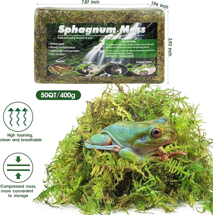 14OZ Sphagnum Moss for Reptiles, Terrarium Natural Green Dried Peat Habitat Bedding Plants for Snakes Gecko Forest Frogs and Turtle Accessories Substrate (50QT)