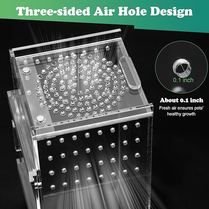 Jumping Spider Enclosure, 3x3x6 Inch Acrylic Terrarium with Magnet Opening Door & Tweezers, Suitable for Tarantula & Praying Mantis
