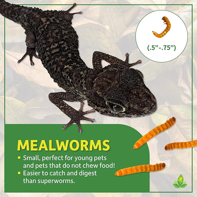 Josh's Frogs Mealworms (100 Count)