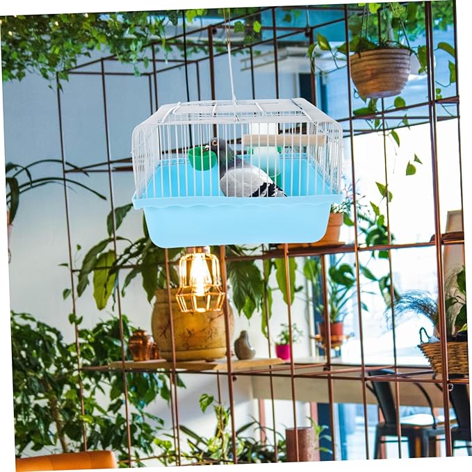 Lightweight Bird Carrier with Integrated Perch and Food Tray for Small Birds for Parakeets Lovebirds and Other Small Animals