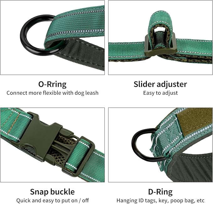 Annchwool No Pull Dog Harness with Padded Handle+5 Ft Leash,Reflective Strip Escape Proof and Quick Fit to Adjust Dog Harness,Easy for Training Walking for Small & Medium and Large Dogs(Green-Set,L)