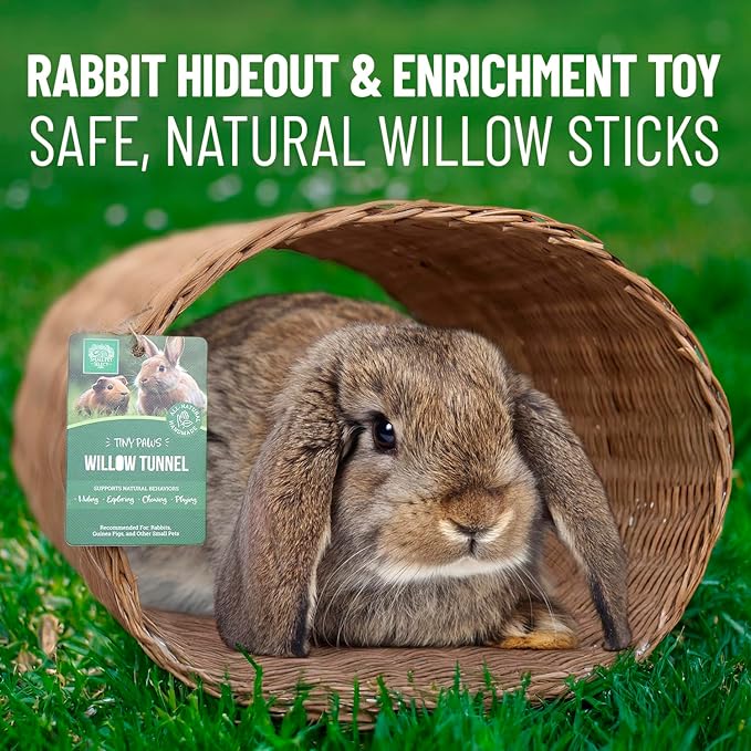 Small Pet Select Tiny Paws Jumbo Willow Tunnel, for Guinea Pig, Rabbit, Bunny, Toys, Hideout Tunnel, Cage Accessories, 13.5x12x9.5