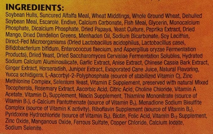 ZML FOOD BOX TRTL 10OZ