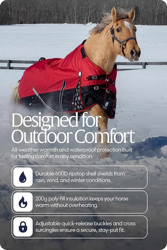 Equinavia Norse 200g Medium Weight Horse Blanket | Waterproof Winter Turnout - Black - 66 in - Equestrian Red - 75 in