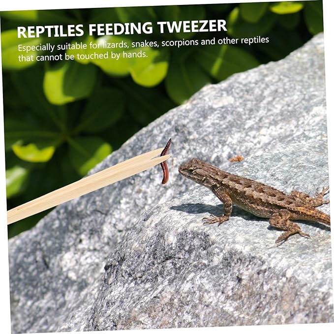 Milisten Bamboo Reptile Feeding Tweezers Pet Appetite Stimulant Clip for Lizards Turtles and Reptiles