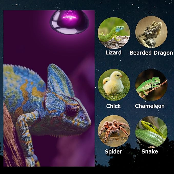 60W Reptile Night Light Bulb, Purple UVA Heat Lamp with Simulated Moonlight Effect, Night Basking Lamp for Bearded Dragons, Lizards, Snakes & Amphibians, Terrarium & Aquarium Use, 2 Pack
