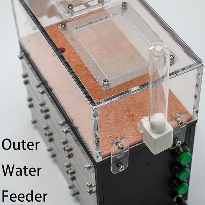 Ant Farm for Live Ants with Inner Lights - Large Viewing Area - Natural Learning Toy - Great Gift