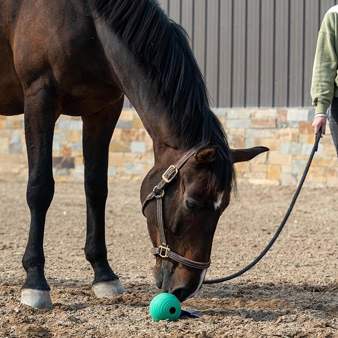 PetKORE: KoreFlex Ball & Tail - Horse-Equine Toy, 4.75" Green Ball, Shape Maintaining Rubber, Durable Strap, Treat Stuffing Center, Toss-Bounce-Play