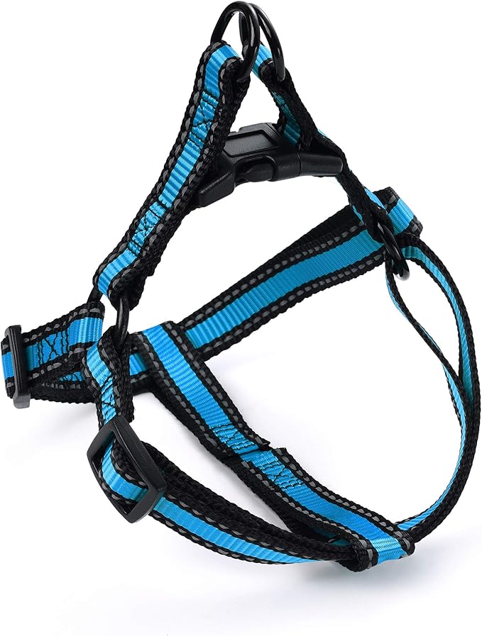 Mile High Life Night Reflective Double Adjustable Band Nylon Small Puppy Pet Dog Combo Collar Leash and Harness Set (Reflective Edge Blue, Mediun (Pack of 3))