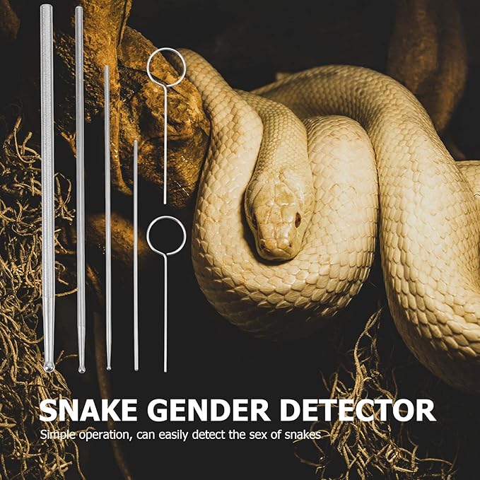 balacoo Crawling Supplies Snake Gender Detector Reptile Accessories Durable Metal Snake Tool