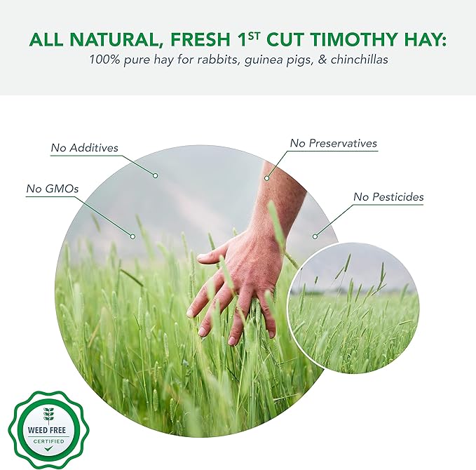 1st Cut Timothy Hay, 8 Lbs