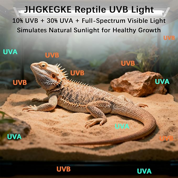 T8 UVB Reptile Light Fixture HO UVB Bulb Lighting Combo Kit, 10.0 UVB Light for Reptiles Terrarium Hood UVA UVB Desert Lamp for Bearded Dragon Turtle Tank (T8 20W 24Inch)