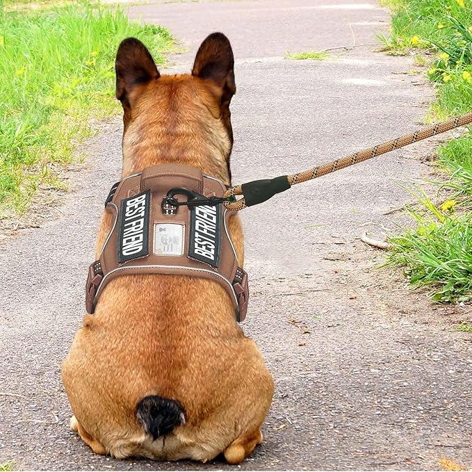 Beebiepet Heavy Duty Tactical Dog Harness for Medium Dogs, Brown, Molle System, Four-Point Adjustment, Anti-Lost ID Tag, Includes 5ft Leash