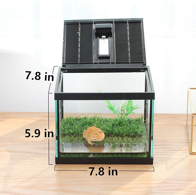 crapelles Small Glass Frog Terrarium Kit, 7.8x7.8x5.9'' for Tadpole, Amphibians, Insects Enclosure, Praying Mantis Habitat, with Green Artificial Turf Pad (excluding Animals)