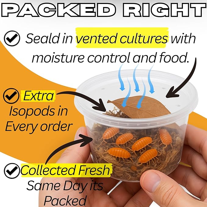25ct Dwarf White & 8oz Springtails Isopods Live Bioactive Clean Up Crew Bundle Reptile Amphibian Food Bundle