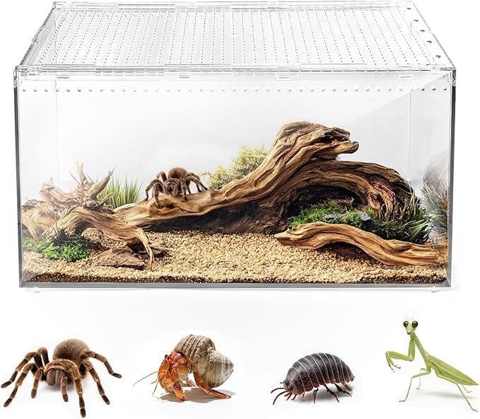 AZV Escape Proof Reptile Terrarium,Shatter Proof Polycarbonate Tarantula Tank with Magnetic Lid,Ventilated Spider Enclosure,360° Clear View,Easy Clean Habitat for Gecko,Frogs,Insects,Hermit Crabs L
