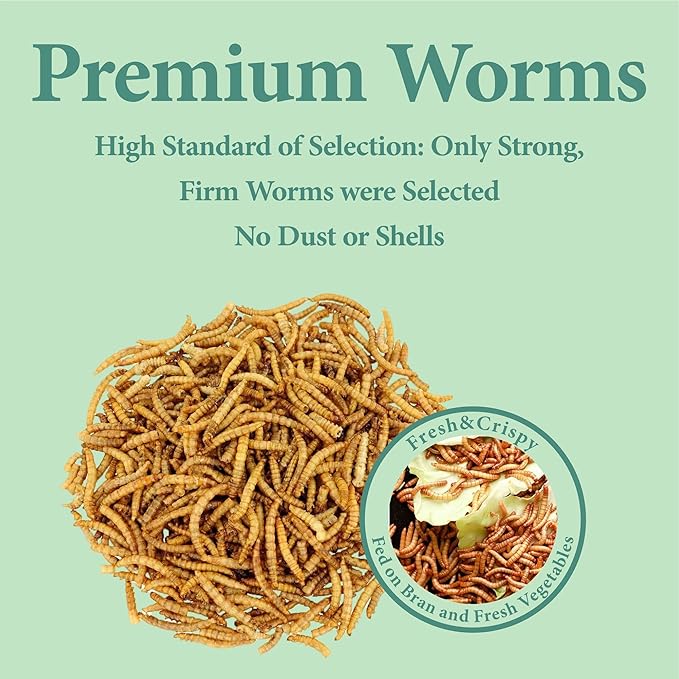 WORMSKING 11 LBS Dried Mealworms, Non GMO, High Protein Treat for Chicken, Duck, Birds, Reptile, Hamster,Hedgehog