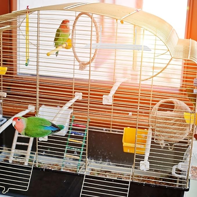 Mipcase 4 pcs Rectangular Parakeet Platform Bird Cage Accessories for Parrots and Cockatiels Ideal Bird Playstand and Perch for Home Use