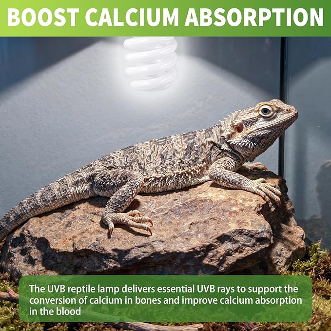 5 Pcs Uvb Reptile Light 10.0 26 W Compact Fluorescent Simulation Color Uvb Bulb for Turtle Bearded Dragon Lizard Gecko Desert Tropical Sub Tropical Reptiles
