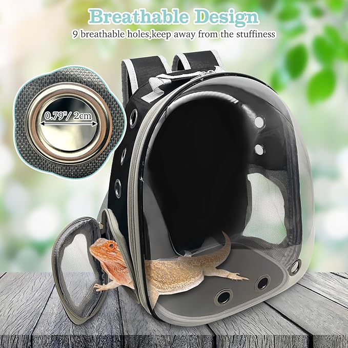 PINVNBY Bearded Dragon Carrier Backpack with Harness and Leash Set Large Reptile Travel Carrier Portable Lizard Backpack Clear Bubble Window Small Animal Carrying Bag for Gecko Kitten Rabbit (Black)