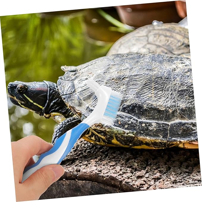 BESPORTBLE 2pcs Turtle Shell Cleaning Brush Multi-Functional Mud Remover for Aquatic Tortoise Shell Flexible Double-Headed Design for Easy Use and Care