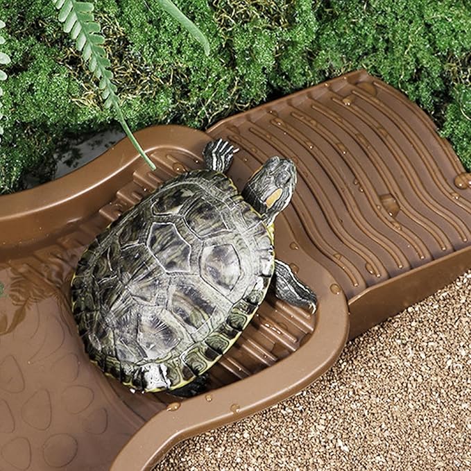 Pet Amphibian Basin – Turtle Bathing, Aquarium Climbing, Shower | Turtle Bathing for Reptiles, Aquatic Pets, Sunbathing, Swimming, and Outdoor or Indoor Relaxation